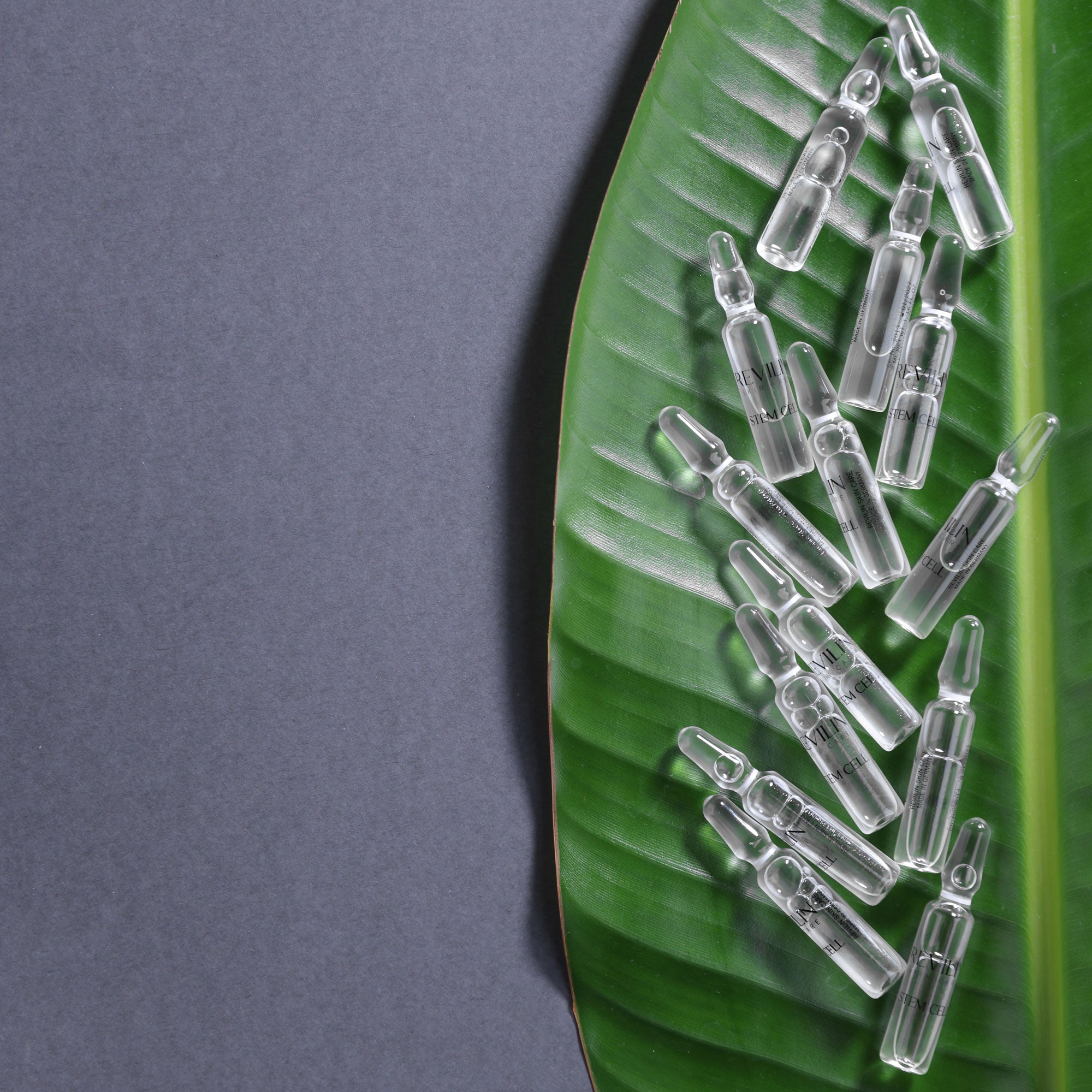Stem Cells Ampoules 14x2ml