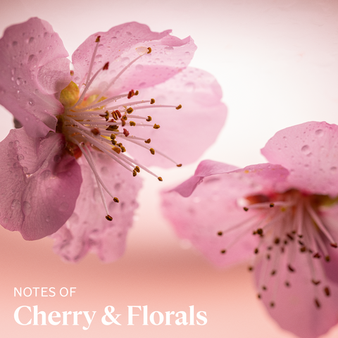 Cherry Blossom Hand Cream 30ML