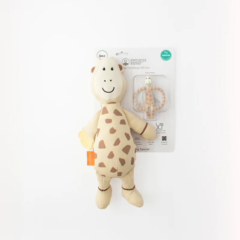 Sensory Teething Teddy Set