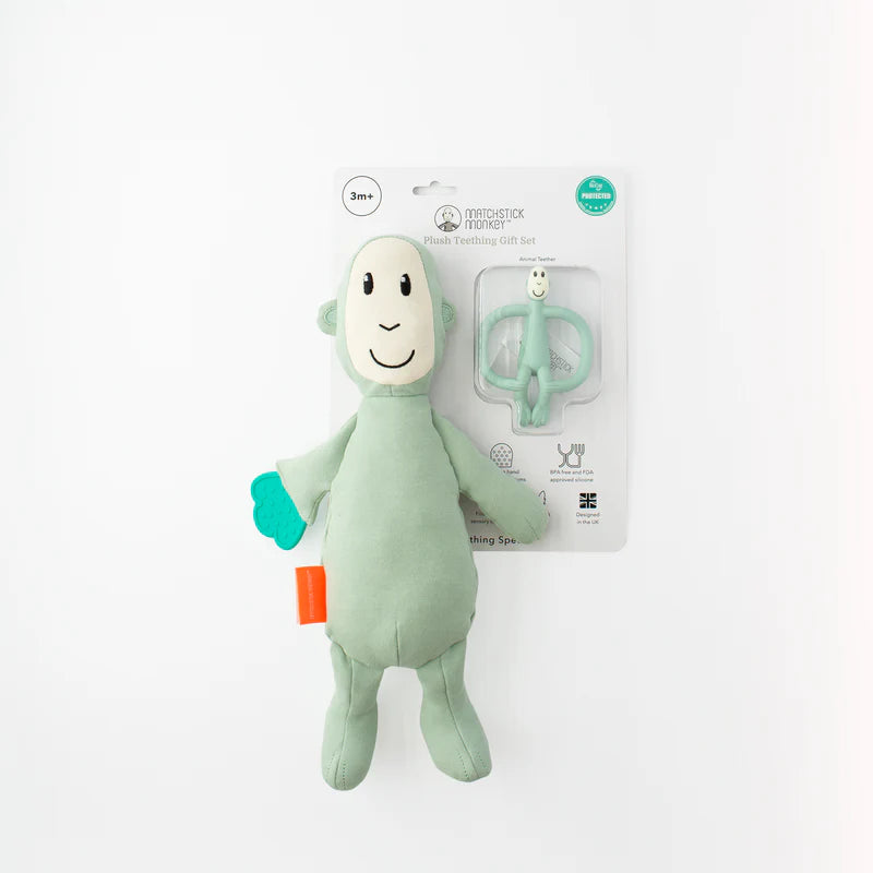 Sensory Teething Teddy Set