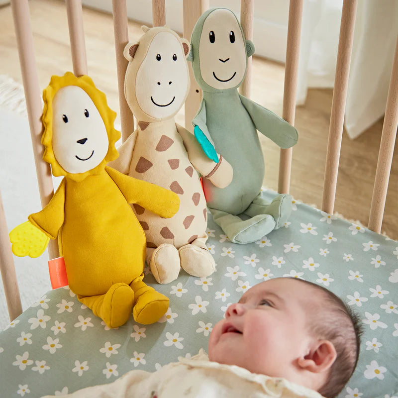 Sensory Teething Teddy Set