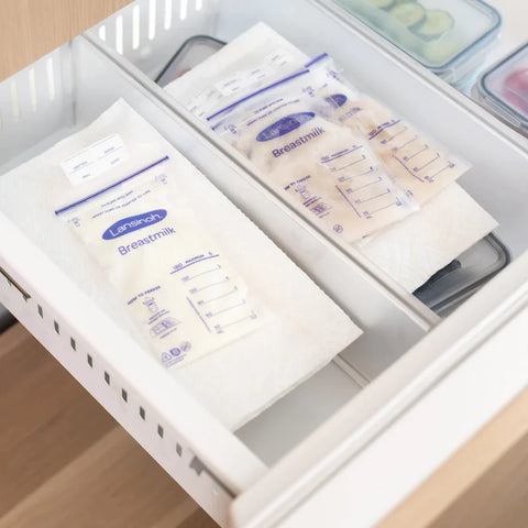 LANSINOH STORAGE BAGS X 50