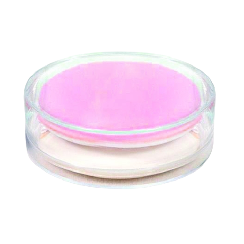 CUSHION MAKEUP SPONGES WITH PLASTIC BOX