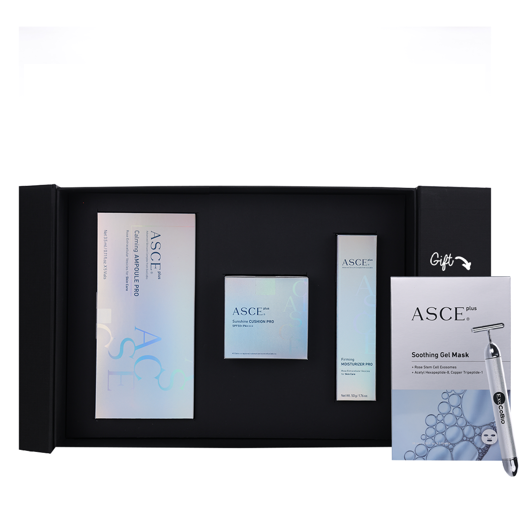 ASCE Christmas Gift Box