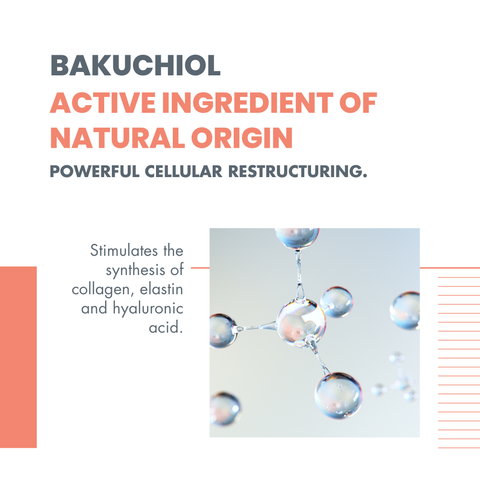 Dermabsolu Jour Fundamental Day Cream 40ml