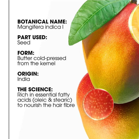 Mango Butter Shampoo 200ML