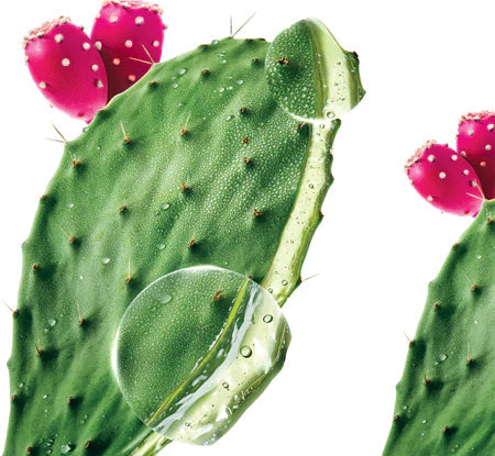 Klorane Prickly Pear Thirst-Quenching Shampoo 200ml