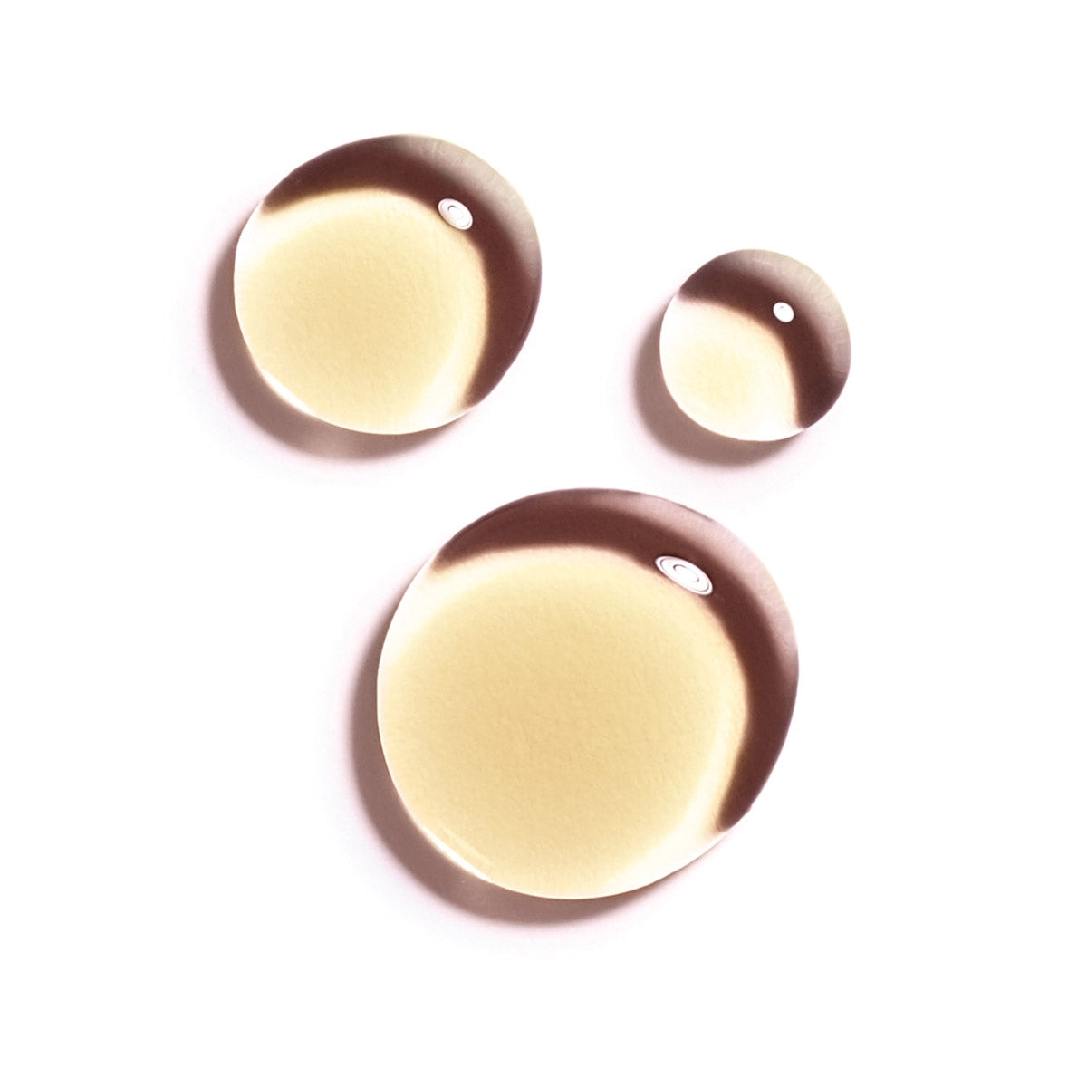 Body and Hair Nourishing Oil Thé Des Vignes - 50 ML