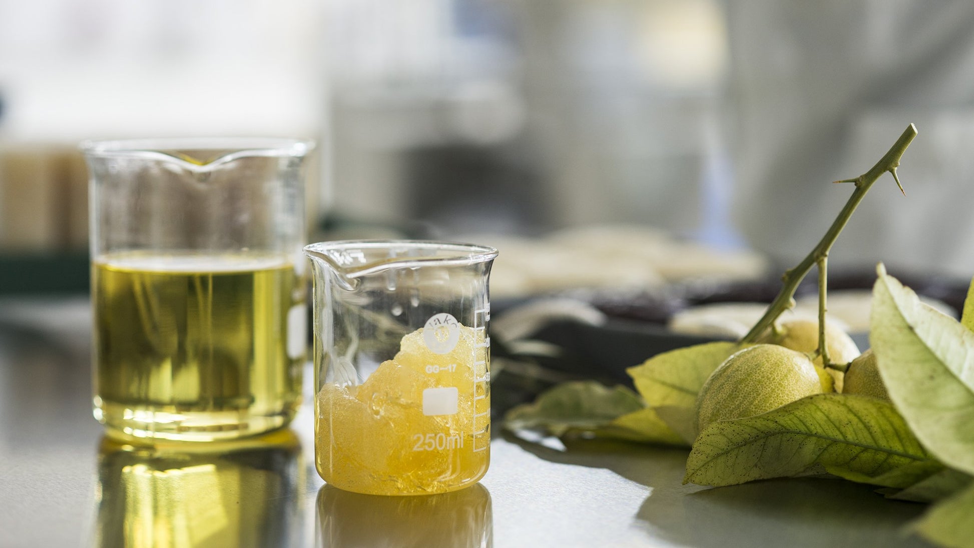 saydaliati_SENTEURS D'ORIENT_Rose of Damascus Mini Ma'amoul Soap_Mini Ma'amoul Soaps