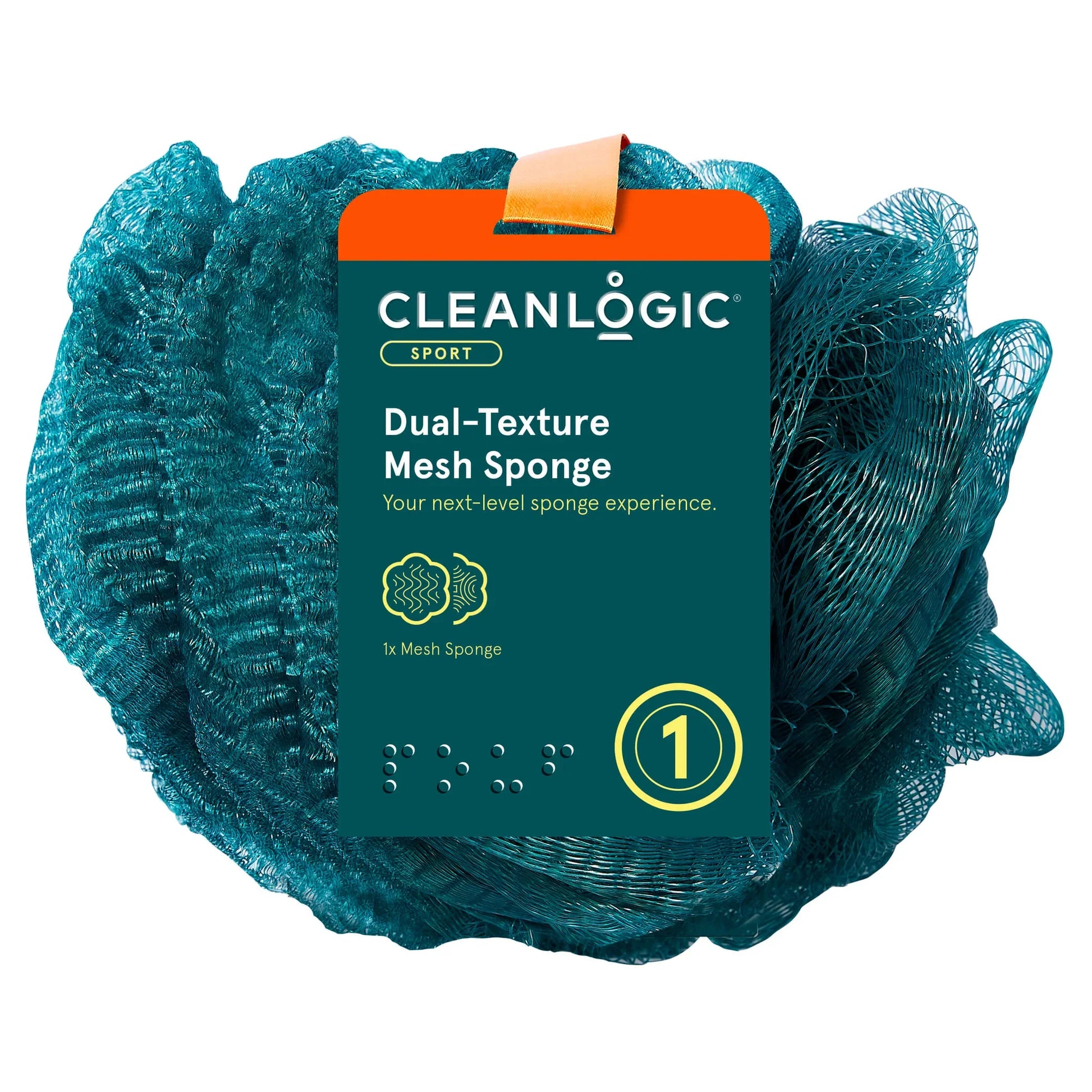 Dual texture sponge