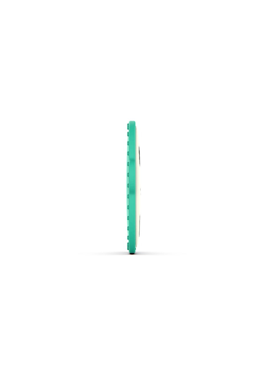 Flat Face Monkey Teether (Green)
