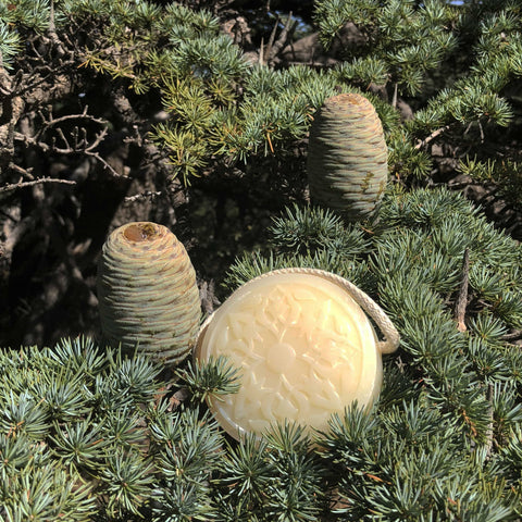 Hammam Soap Cedar of Lebanon