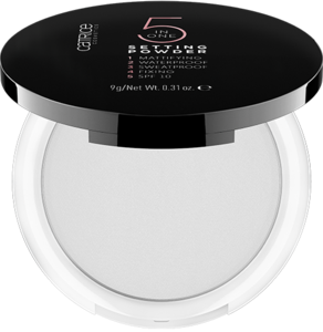 5 In 1 Setting Powder 010