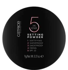 5 In 1 Setting Powder 010