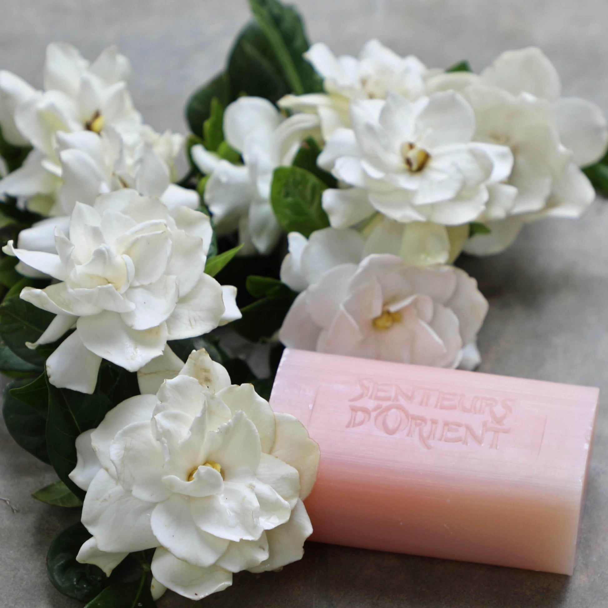 saydaliati_SENTEURS D'ORIENT_Oriental Gardenia Rough-Cut Bar Soap_Bath Soaps